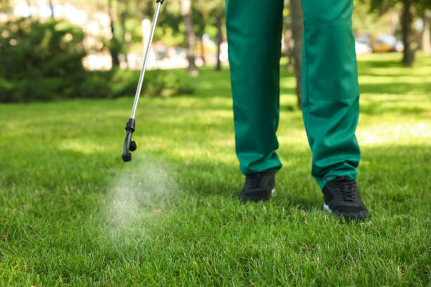 Best Pest Control Near Me  in Haleiwa, HI