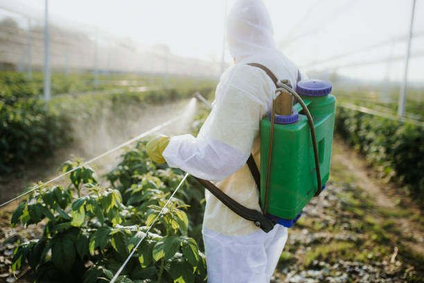 Pest Control for Restaurants in Haleiwa, HI